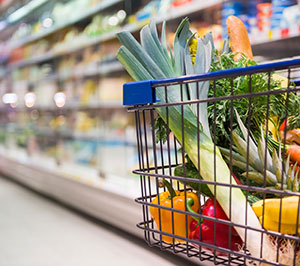 Grocery StorePest Control in Florida