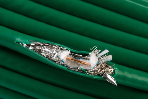 Are mice dangerous; Florida Pest Control Rodent Exterminators