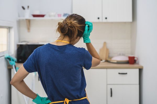 How to clean up after rodents in Florida; Florida Pest Control Rodent Exterminators