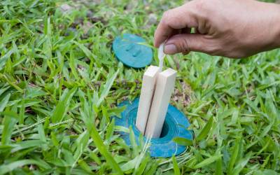 TermiteBaiting in Florida