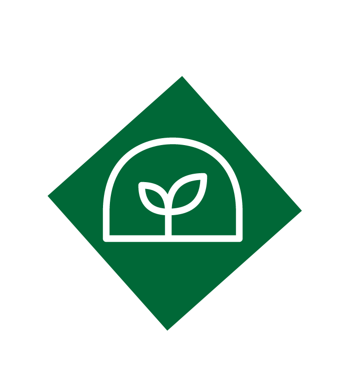 leaf in a green diamond