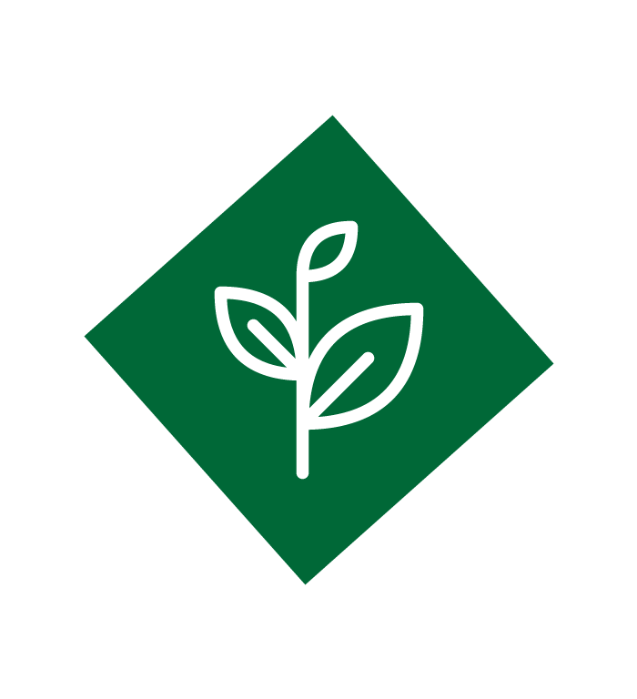 leaf in green diamond