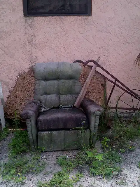 Wasp infestation to an old recliner - keep pests away from your home with florida pest control